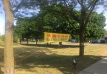Free Falun Gong Classes in North York: Outdoor Practice at Old Sheppard Park