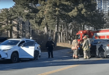 News Brief: Car Crash at Consumers Rd and Yorkland Blvd, Toronto